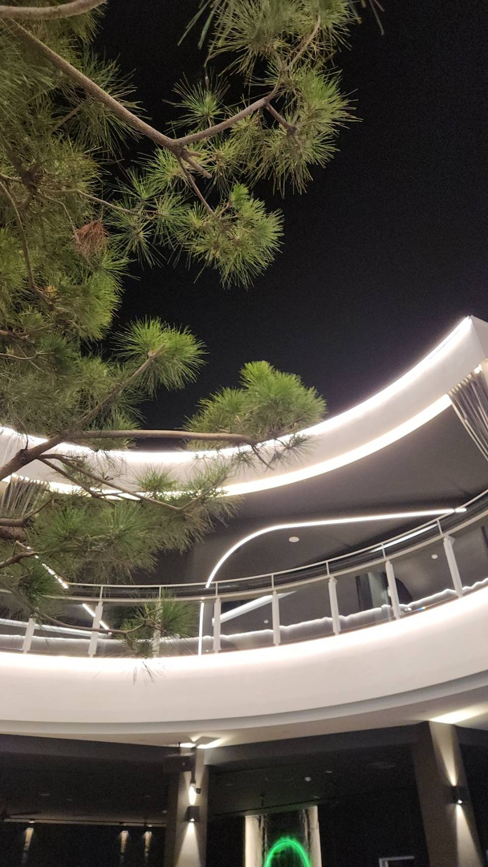 碳所中庭松枝、環形燈帶與夜空