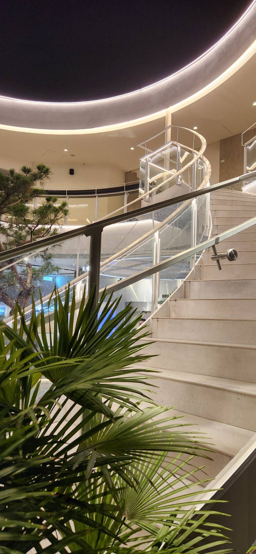 碳所白色旋轉樓梯、玻璃扶手與前景綠葉